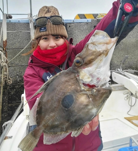 マトウダイの釣果