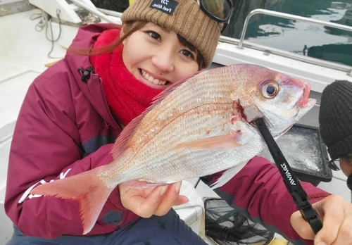 チダイの釣果