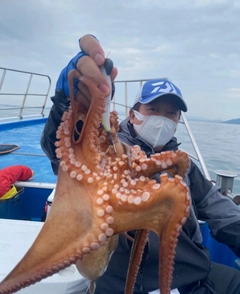 マダコの釣果