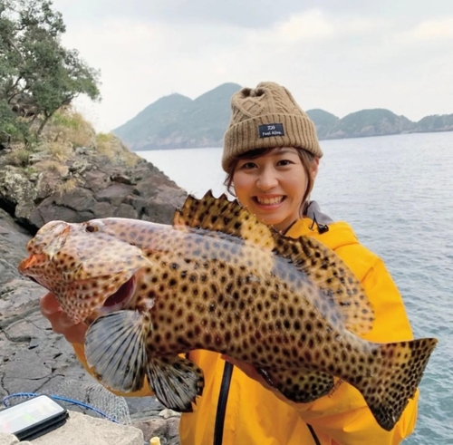 シロブチハタの釣果