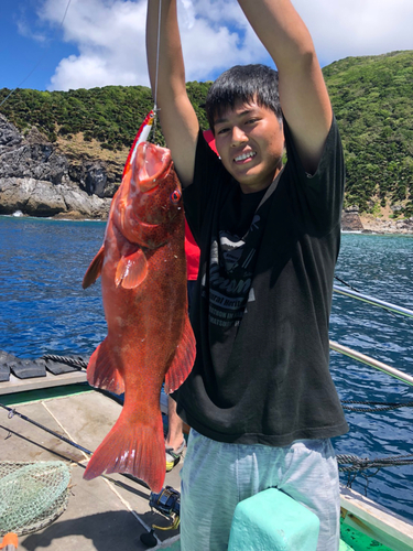 スジアラの釣果