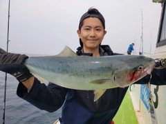 ワラサの釣果