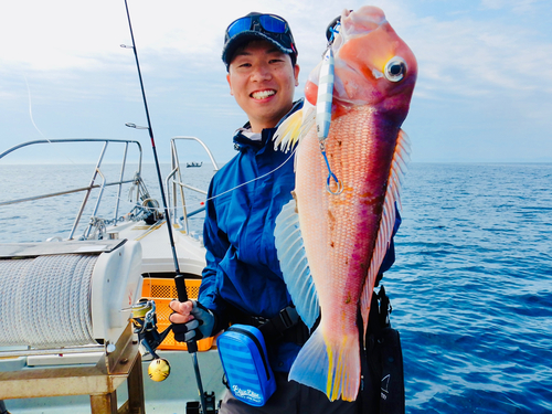 アマダイの釣果