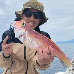 アマダイの釣果