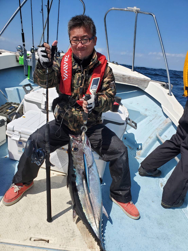 ビンチョウマグロの釣果