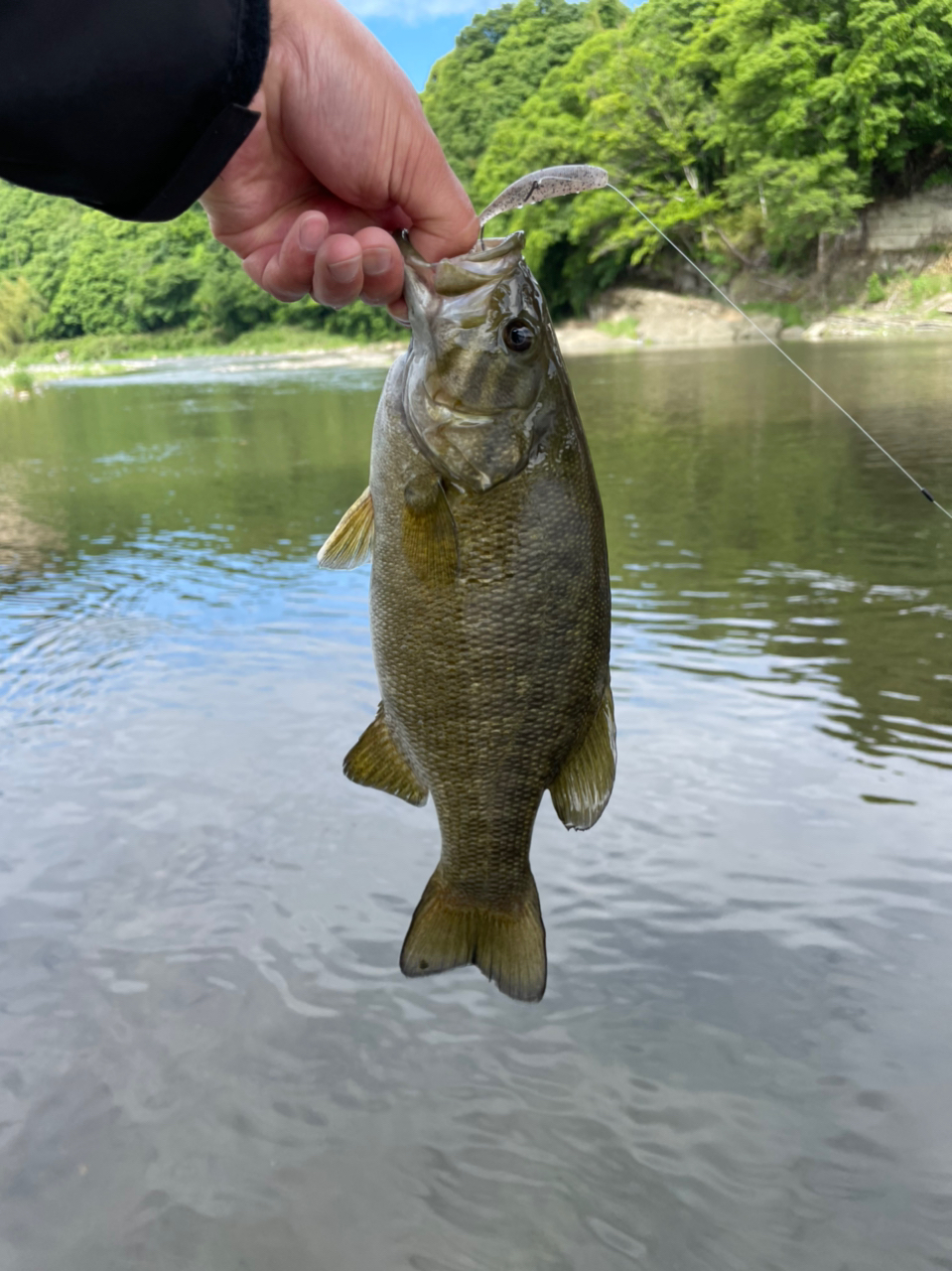 スモールマウスバス