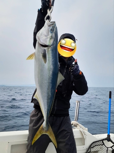 アマダイの釣果