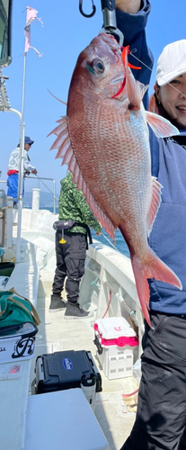 タイの釣果