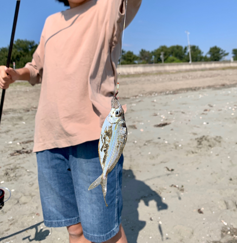 釣果