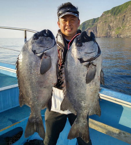 イシダイの釣果