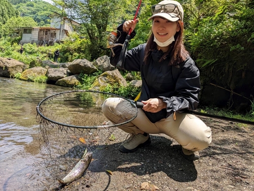 ニジマスの釣果