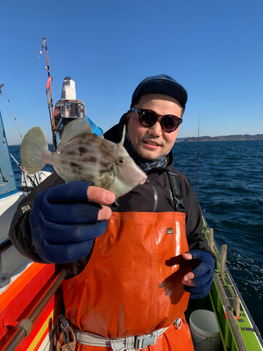 カワハギの釣果