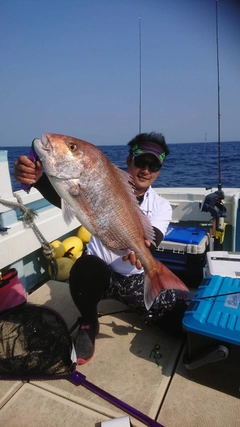 マダイの釣果