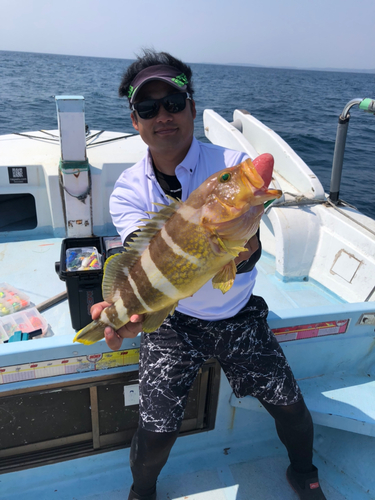 アオナの釣果