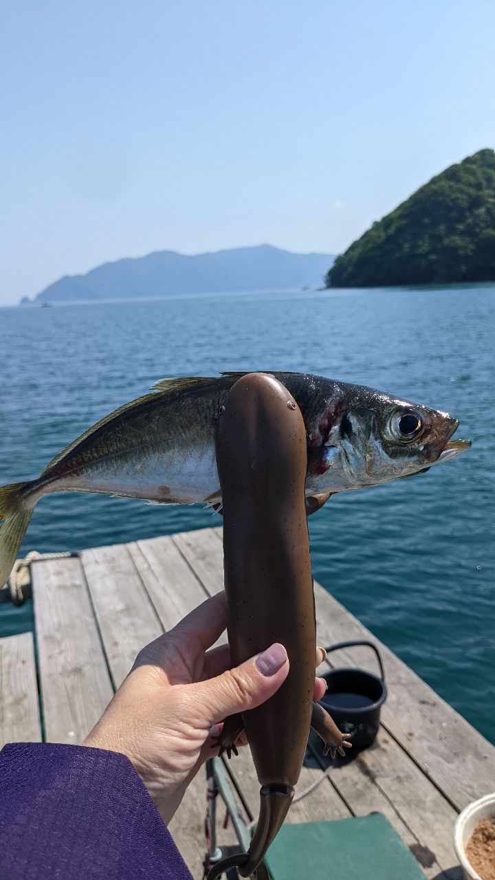 とむたむさんの釣果 1枚目の画像