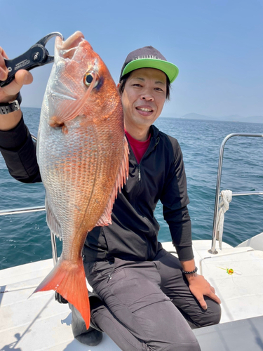 マダイの釣果