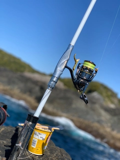 クチブトグレの釣果