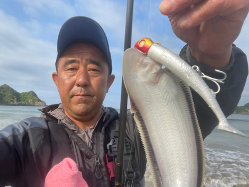 シタビラメの釣果