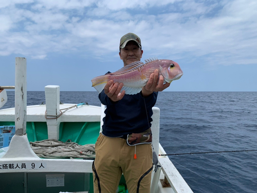 アマダイの釣果