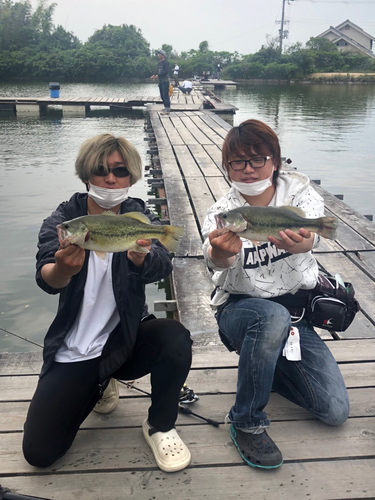 ブラックバスの釣果