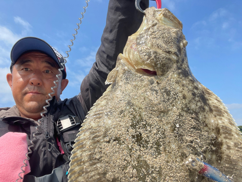 ヒラメの釣果