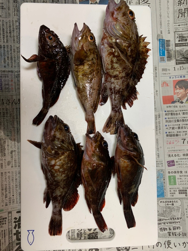 釣果