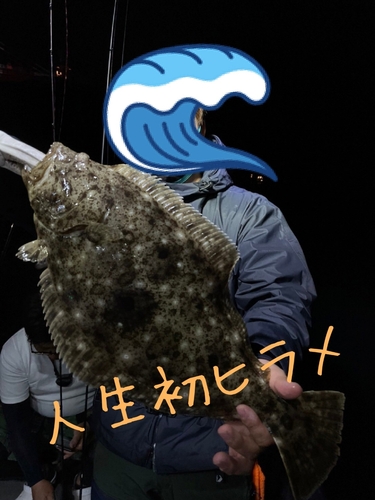 ヒラメの釣果