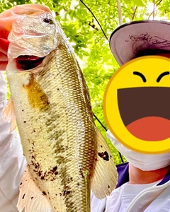 ラージマウスバスの釣果