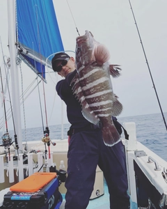 マハタの釣果