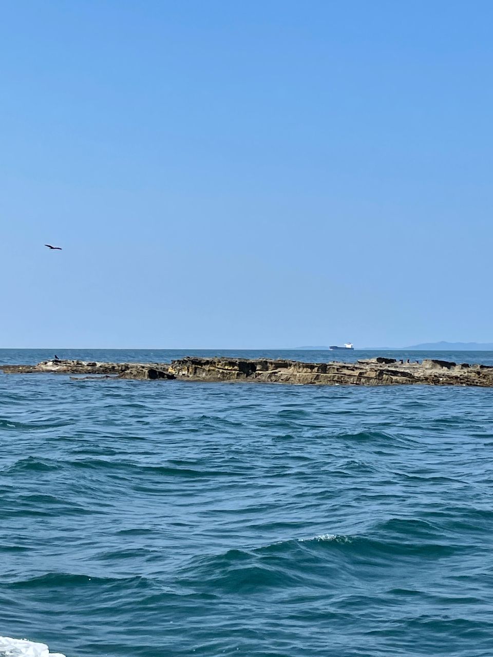 釣り吉Junさんの釣果 2枚目の画像