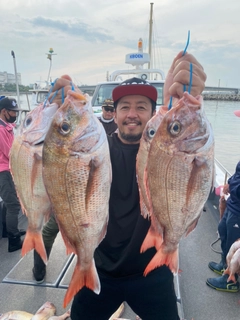 マダイの釣果