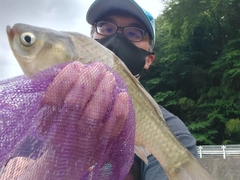 ヘラブナの釣果