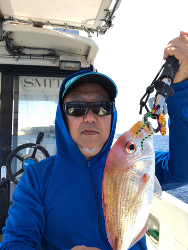 レンコダイの釣果