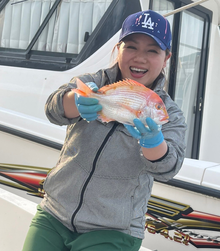 レンコダイの釣果