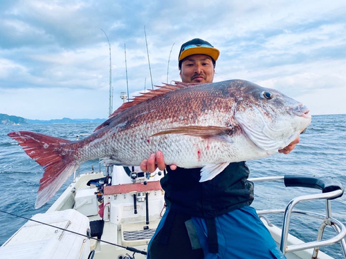 マダイの釣果