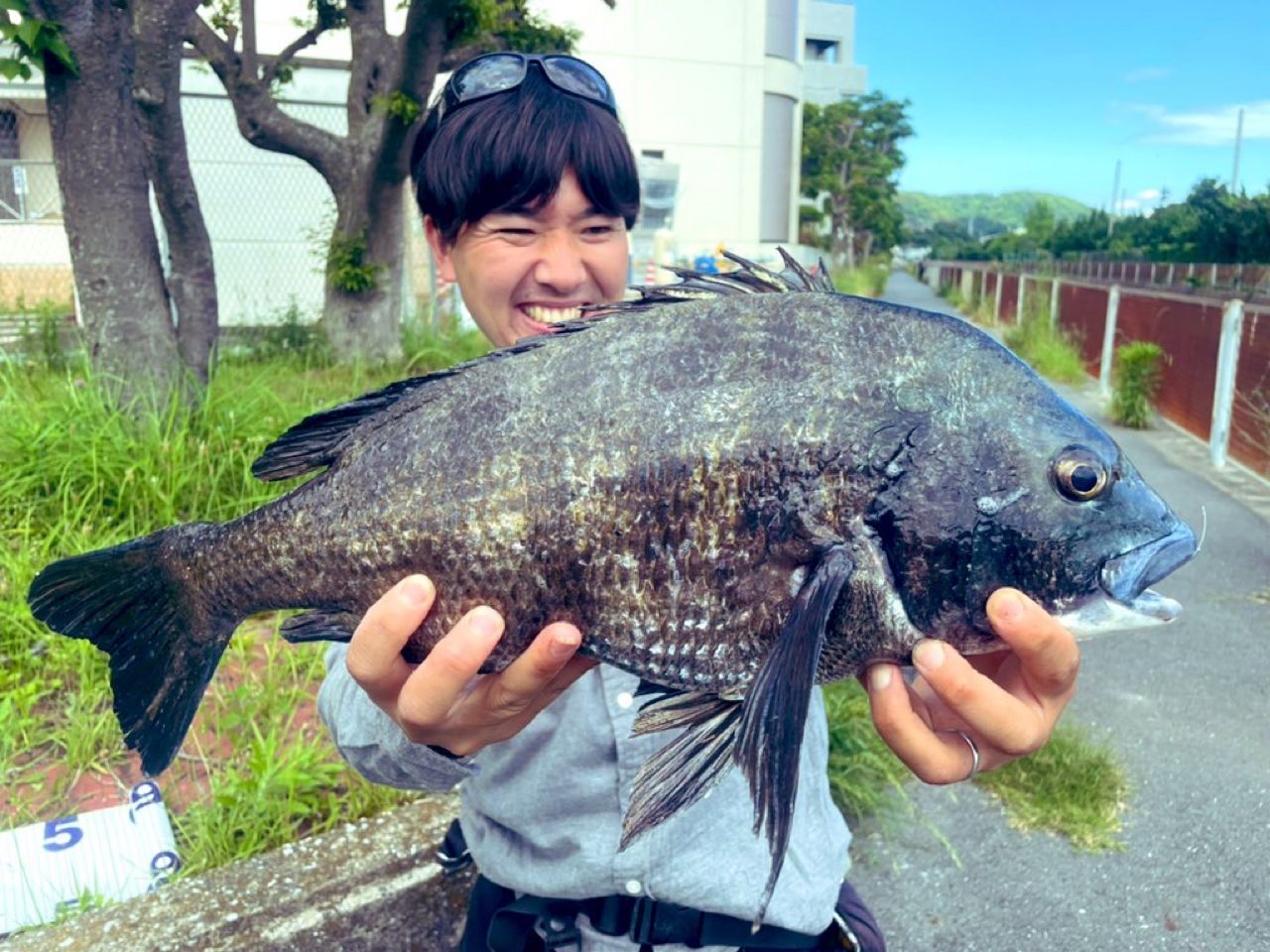 【送料込み】うず潮　チヌ　1.5-44 送料込み】うず潮 チヌ 1.5-44 ブイ 釣り