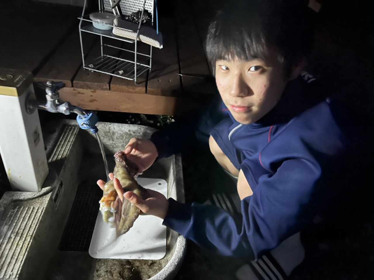 タコ