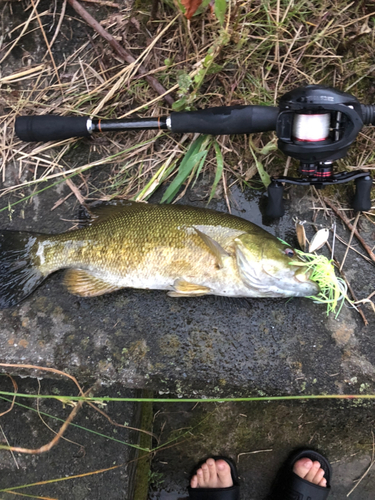 釣果