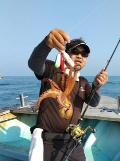 マダコの釣果