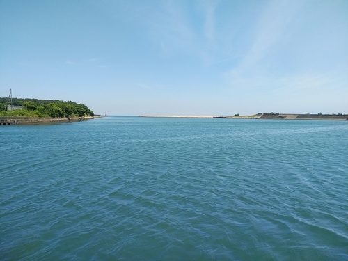 ウナギの釣果