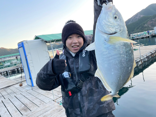 シマアジの釣果