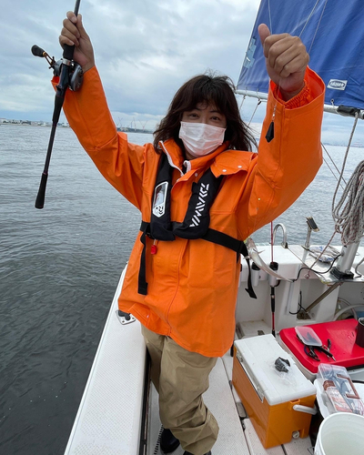 シロギスの釣果