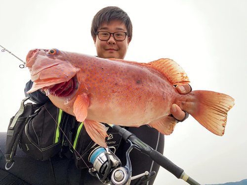 スジアラの釣果