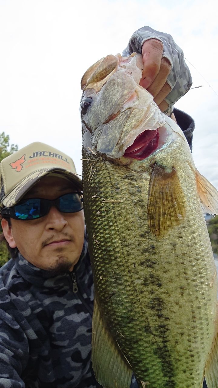 ブラックバスの釣果写真