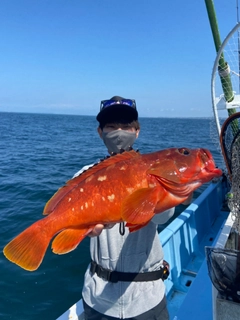 アカハタの釣果