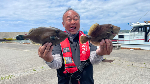 カワハギの釣果