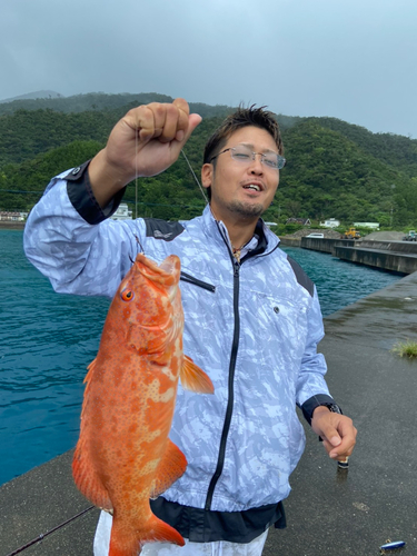 アカジンミーバイの釣果