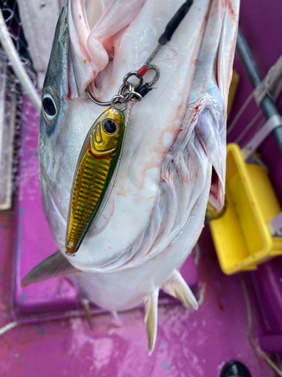 なに丸@駿河湾さんの釣果 2枚目の画像