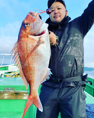 マダイの釣果