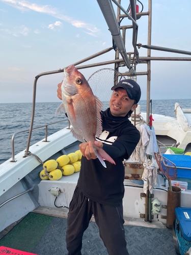 マダイの釣果